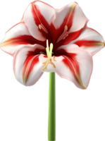 Amaryllis Clip Art. ein süß Amaryllis Blume Symbol. KI-generiert. png