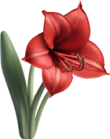 Amaryllis Clip Art. ein süß Amaryllis Blume Symbol. KI-generiert. png