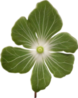 hepatica americana clipart. uma fofa hepatica americana flor ícone. gerado por ai. png