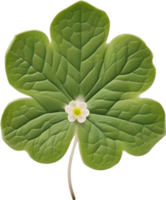 Hepatica Americana clipart. A cute Hepatica Americana flower icon. AI-Generated. png