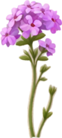 a cute colorful long-stem Desert Sand Verbena flower icon. AI-Generated. png