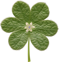 Hepatica Americana Clip Art. ein süß Hepatica Americana Blume Symbol. KI-generiert. png