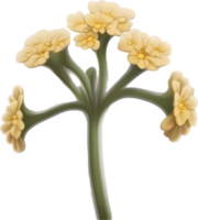 a cute colorful long-stem Desert Sand Verbena flower icon. AI-Generated. png