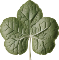 hepatica americana clipart. un' carino hepatica americana fiore icona. ai-generato. png