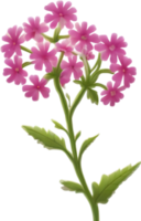 a cute colorful long-stem Desert Sand Verbena flower icon. AI-Generated. png