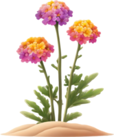 a cute colorful long-stem Desert Sand Verbena flower icon. AI-Generated. png