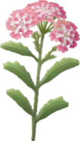 a cute colorful long-stem Desert Sand Verbena flower icon. AI-Generated. png