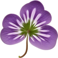 hepatica americana clipart. une mignonne hepatica americana fleur icône. ai-généré. png