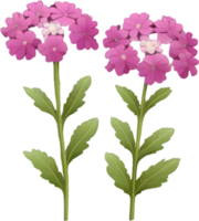 a cute colorful long-stem Desert Sand Verbena flower icon. AI-Generated. png