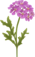 een schattig kleurrijk lange steel woestijn zand verbena bloem icoon. ai-gegenereerd. png