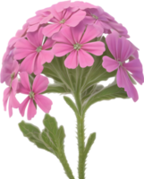 a cute colorful long-stem Desert Sand Verbena flower icon. AI-Generated. png