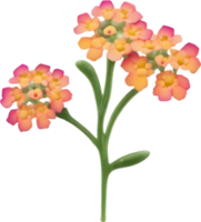 a cute colorful long-stem Desert Sand Verbena flower icon. AI-Generated. png