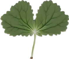 Hepatica Americana Clip Art. ein süß Hepatica Americana Blume Symbol. KI-generiert. png