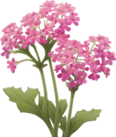 a cute colorful long-stem Desert Sand Verbena flower icon. AI-Generated. png