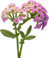 a cute colorful long-stem Desert Sand Verbena flower icon. AI-Generated. png