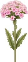 a cute colorful long-stem Desert Sand Verbena flower icon. AI-Generated. png