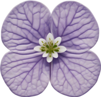 hepatica americana clipart. uma fofa hepatica americana flor ícone. gerado por ai. png