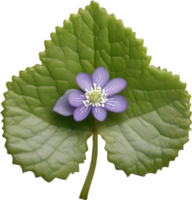 Hepatica Americana clipart. A cute Hepatica Americana flower icon. AI-Generated. png