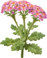 a cute colorful long-stem Desert Sand Verbena flower icon. AI-Generated. png