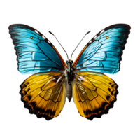 vlinder in levendig natuur fladderend Vleugels temidden van mooi tuin bloei png