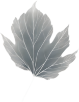 Botanical minimalist leaf, Leaf Clipart. png
