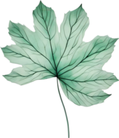 botanisch minimalistische blad, blad clip art. png