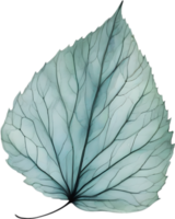 botanico minimalista foglia, foglia clipart. png