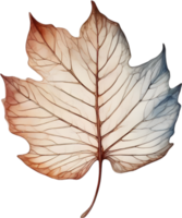 Botanical minimalist leaf, Leaf Clipart. png