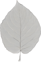 botanico minimalista foglia, foglia clipart. png