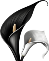 Calla lily flower art deco style. Ai-generated. png