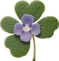 Hepatica Americana clipart. A cute Hepatica Americana flower icon. AI-Generated. png