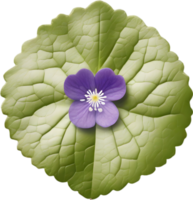 Hepatica Americana clipart. A cute Hepatica Americana flower icon. AI-Generated. png