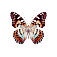 en makro fotografera av en underkung fjäril highlighting dess invecklad vinge mönster och färgrik png
