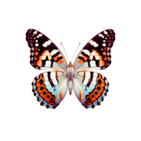 A macro photograph of a Viceroy butterfly highlighting its intricate wing patterns and colorful png