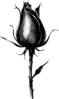 A single black Sumi-e rosebud with a sharp thorn. AI-Generated. png