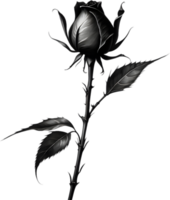 A single black Sumi-e rosebud with a sharp thorn. AI-Generated. png