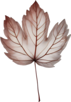 Botanical minimalist leaf, Leaf Clipart. png