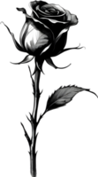 A single black Sumi-e rosebud with a sharp thorn. AI-Generated. png