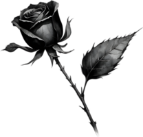 A single black Sumi-e rosebud with a sharp thorn. AI-Generated. png