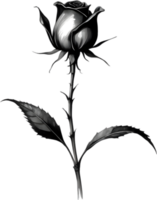 A single black Sumi-e rosebud with a sharp thorn. AI-Generated. png