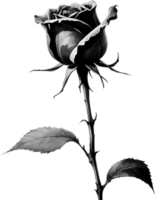 une Célibataire noir sumi-e bouton de rose avec une tranchant épine. ai-généré. png