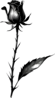 A single black Sumi-e rosebud with a sharp thorn. AI-Generated. png