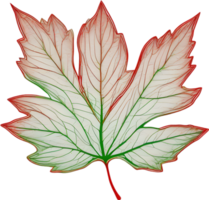 Botanical minimalist leaf, Leaf Clipart. png