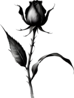 A single black Sumi-e rosebud with a sharp thorn. AI-Generated. png