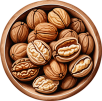 Watercolor Walnuts in wooden bowl isolated clipart on transparent background , design element for snack, cooking, healthy food, ingredients, vegetarian, nutrition, organic farm, carbs, antioxidant png