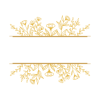 rústico división floral marco con mano dibujado flores y hojas png