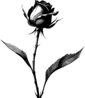 A single black Sumi-e rosebud with a sharp thorn. AI-Generated. png