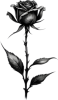 en enda svart sumi-e rosebud med en skarp tagg. ai-genererad. png