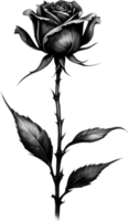 A single black Sumi-e rosebud with a sharp thorn. AI-Generated. png