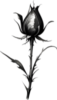 A single black Sumi-e rosebud with a sharp thorn. AI-Generated. png